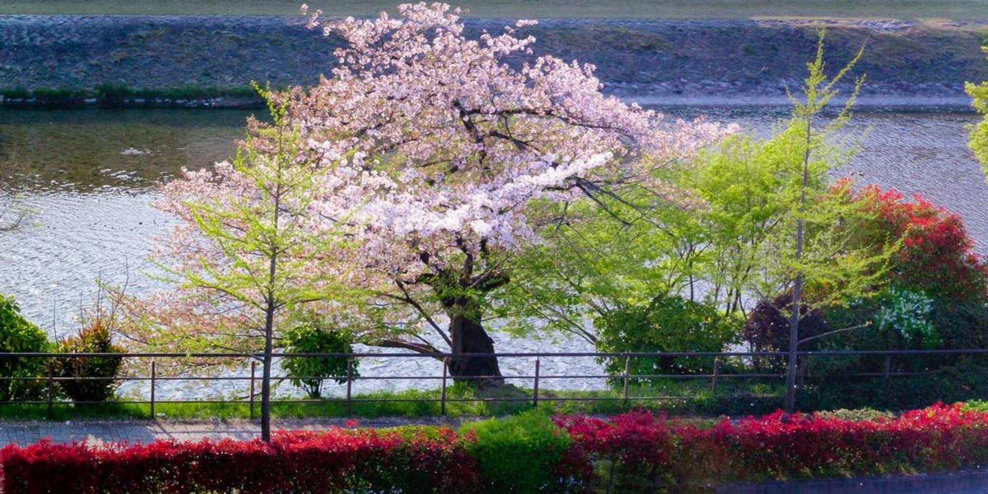 Alza 5* Kyoto